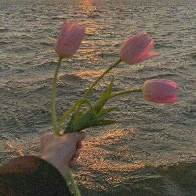 bat·365(中国)在线登录入口