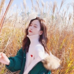 BOB体育综合app入口